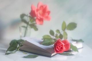 Про книжную романтику