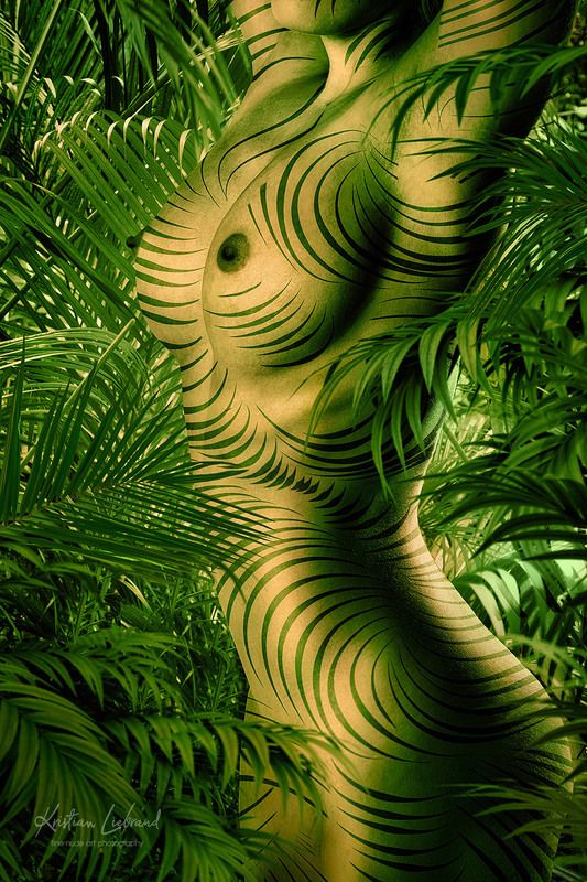 nude, bodypaint, model, sexy, plants, jungle, rainforest, forest, palm jungle nude - wild lifephoto preview