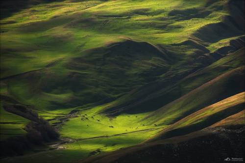 Весенняя зелень Кавказа