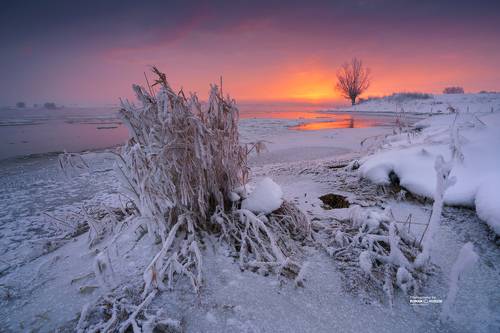 Winter memories.