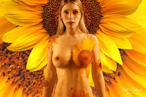sunflower and bean