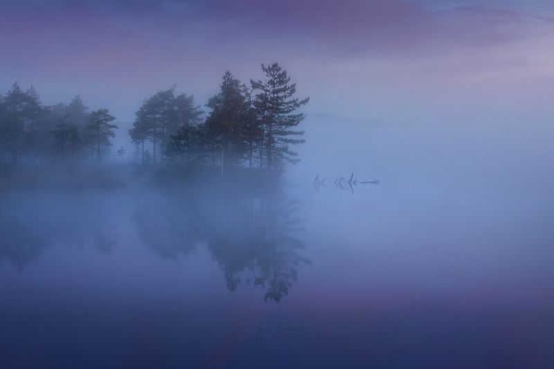 озеро, отражение, туман, природа Призрачная тишинаphoto preview