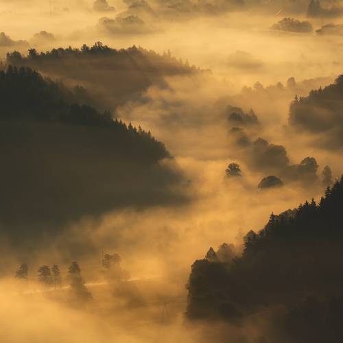 Valley of the Morning Mists...