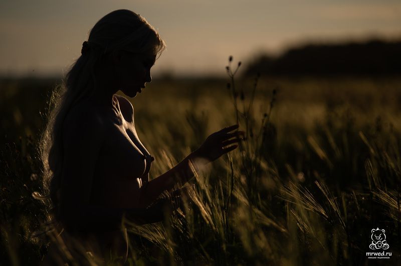 ню, девушка, поле, закат, Михаил Решетников, пшеница, колоски, солнце В полях на закатеphoto preview