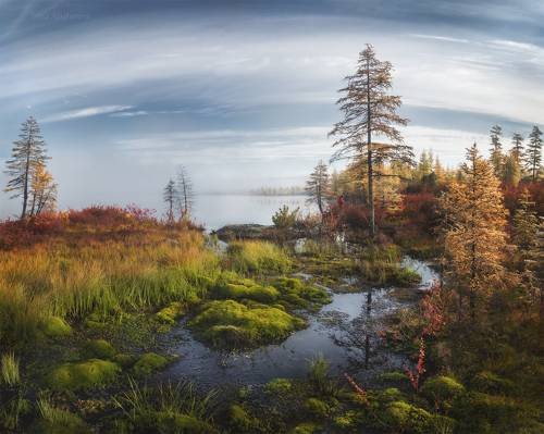 Красочная феерия колымских болот