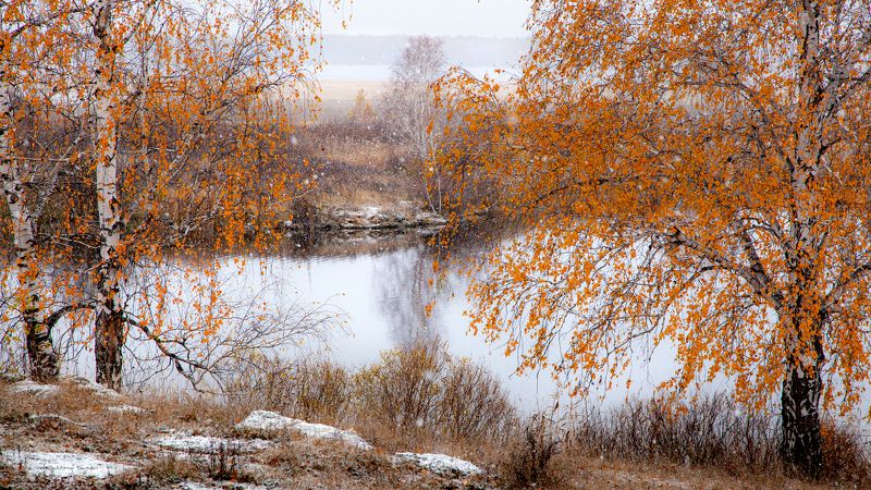 Картинки месяца ноябрь