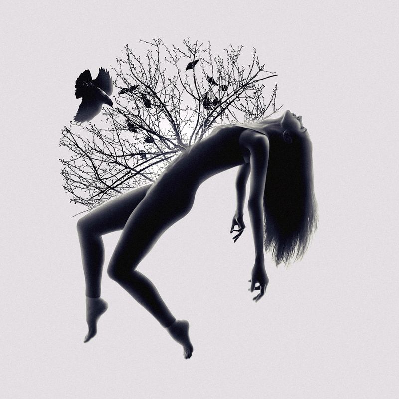 SURREAL,FANTASY,IMAGINATION,DREAM,DREAMING,DREAMY,WOMAN,GIRL,EDITED,MONTAGE,SURREALISM,PERSON,CREATIVE,ART,FINE ART,SILHOUETTE,TREE,BIRD,PIGEON,BIRTH,PHOTO MONTAGE,BIRDS,MINIMALISM The Birth of Lifephoto preview
