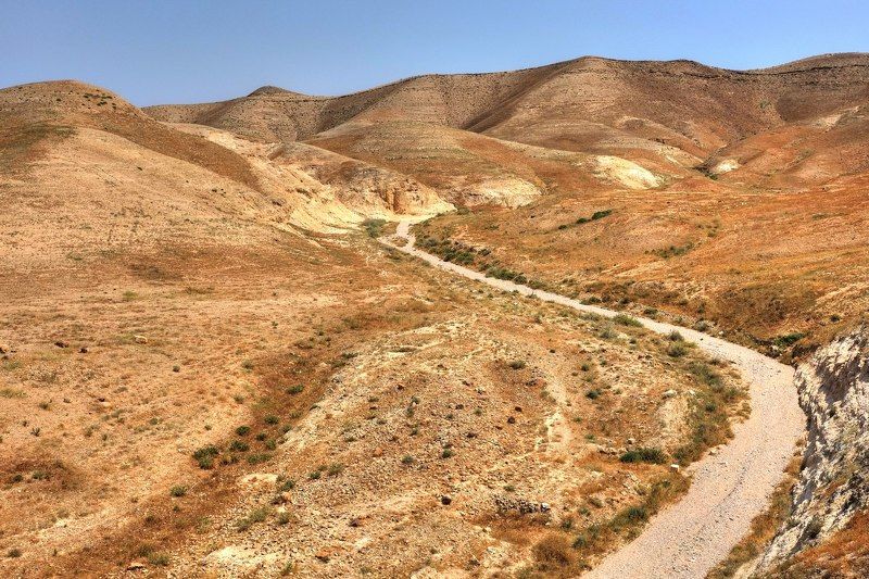 Иудейская пустыня (Judaean Desert)