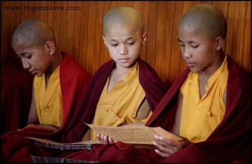 маленькие Ламы на Пудже .Путешествие в Непал