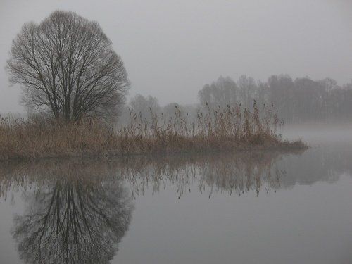 Misty reflection…