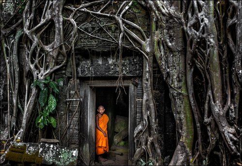 Камбоджа. Монах среди затерянных в джунглях развалинах Ангкора