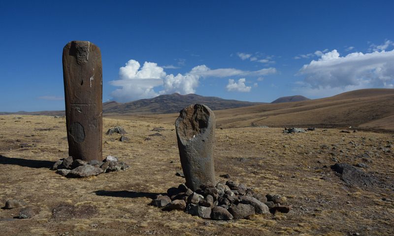 Вишап дракон армении. Драконий камень ереван. Вишапы армении. Вишап (каменное изваяние в форме рыбы) в имирзеке. Армянский дракон вишап.