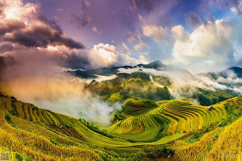 Rice Terraced Valley