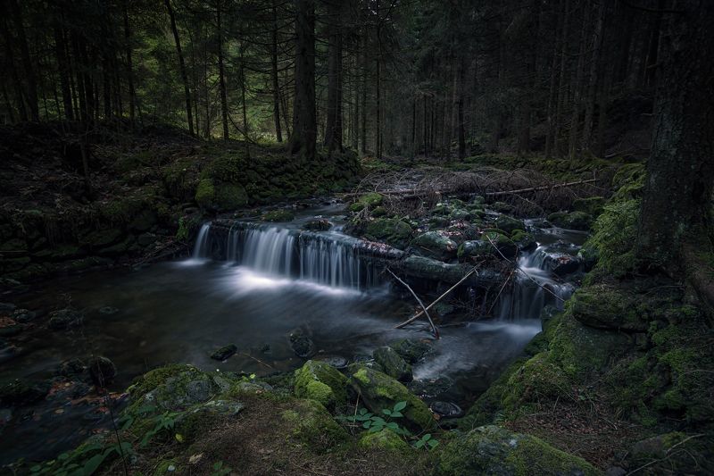 пейзажи река ручей лес спокойствие германия водопад вода камни мох Старый лесphoto preview