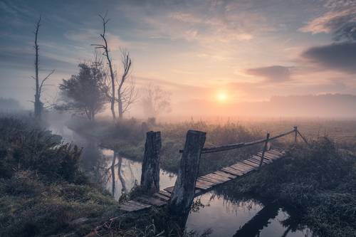 Misty land