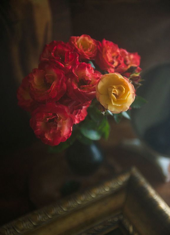 розы, красные, желтые, ваза, рама, зеркало, свет, ретро, винтаж, Маленькие розыphoto preview