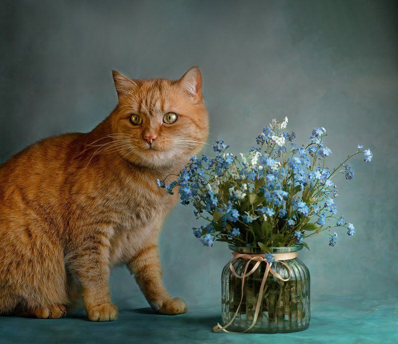 cat and flowers 3