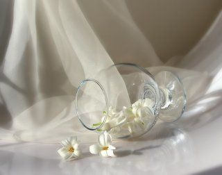 Какая тишина и радость в белом цвете...