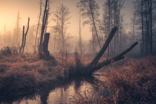 Wild river