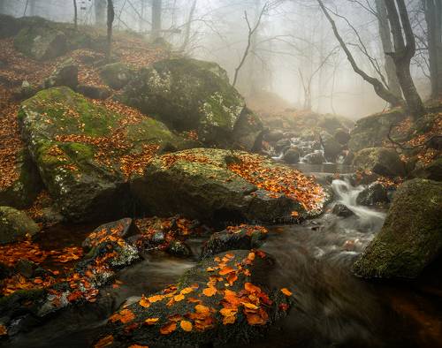 Autumn fours