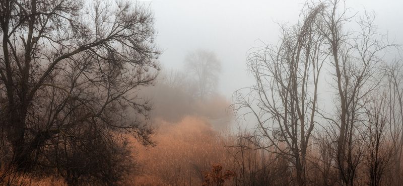 Утро туманноеphoto preview