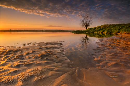 Tales from the river.