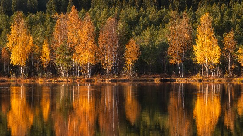 пермский край, осень, россия, урал, береза, вечер, закат, пейзаж, озеро Осенние этюдыphoto preview