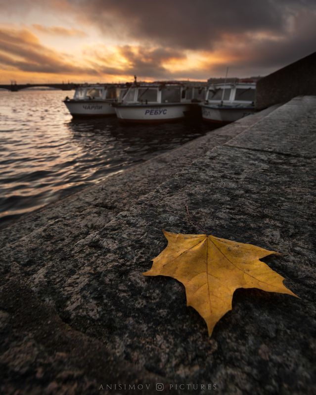 sunrise,city,autumn,fall,goldenhour,river На причале Петропавловской крепостиphoto preview