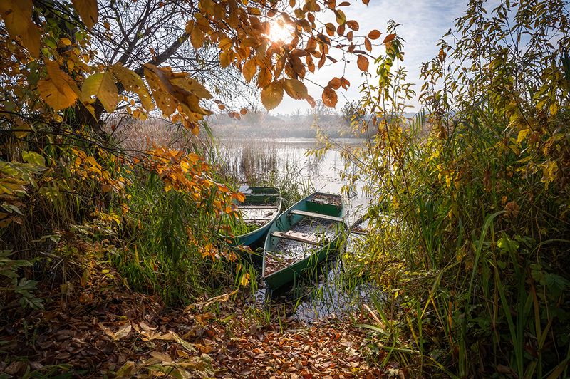 осень, река, солнце, утро, лодки, туман Причалphoto preview