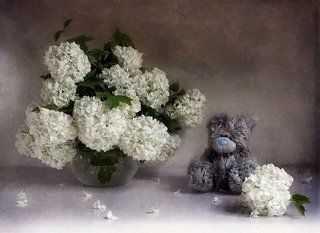 ~***~