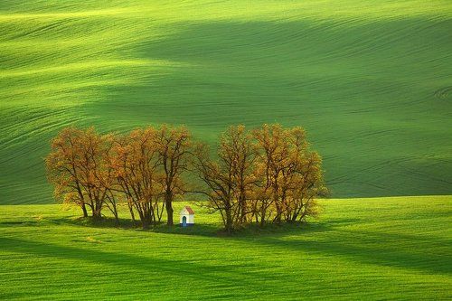 Spring Moravia II