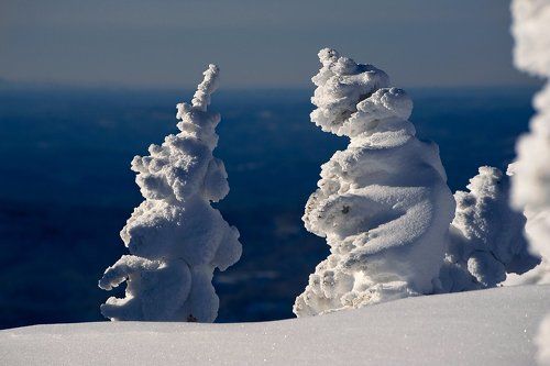Pro музей снежных скульптур Шерегеша