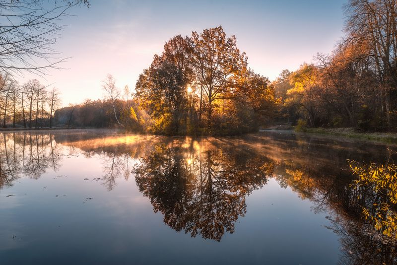 рассвет, заморозки, пруд, дерево, подмосковье, осень Бодрое утроphoto preview