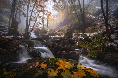 Colors and seasons