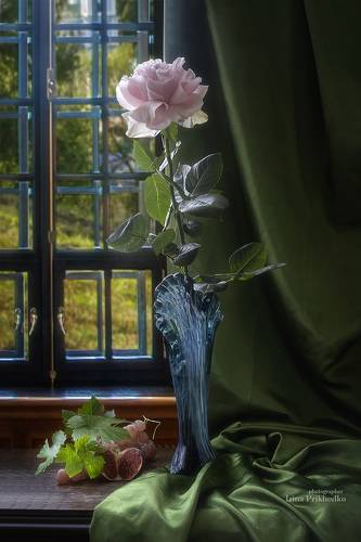 Натюрморт с розой у окна