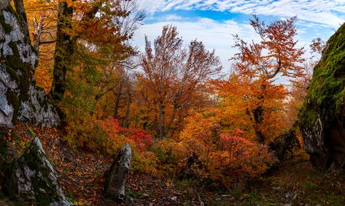 Осень на горе Бештау