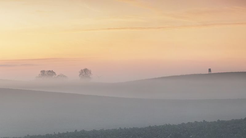 mist, morning, sunrise, field, trees, poland, green, red, sky Place of observationphoto preview