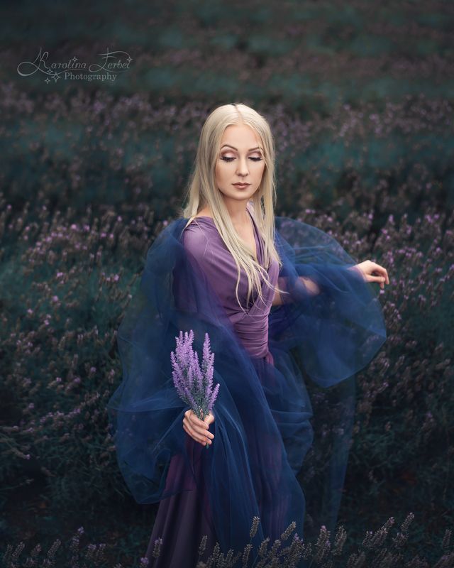 Lavender Dreams 1