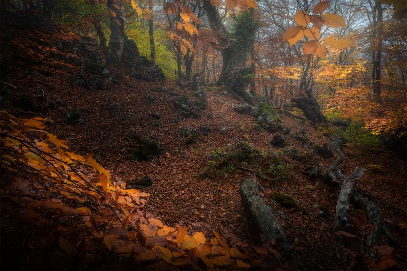 Осень в ущельях Демерджи