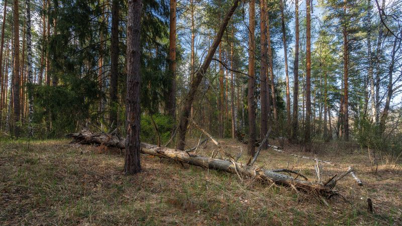 Сергей Сергеев фотограф Ермишь