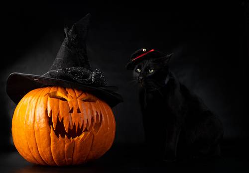 Хэллоуин с чёрным котом - Happy Нalloween