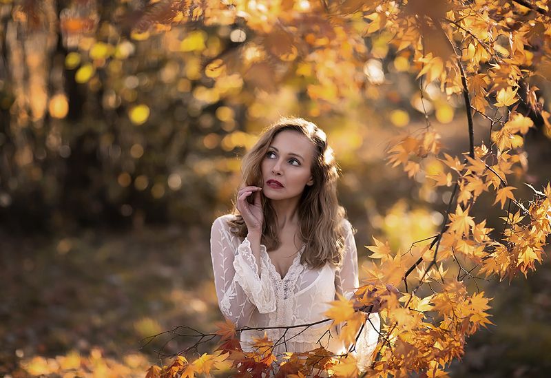 Autumnphoto preview