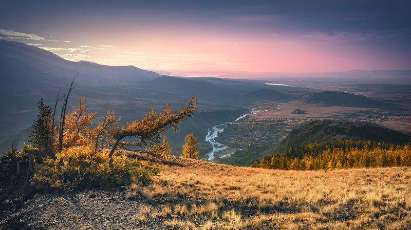 пейзаж, природа, осень, рассвет, утро, алтай, горы, степь, восход, чуя, река, сибирь, желтый, розовый, панорама Чуйская степь в осенних краскахphoto preview