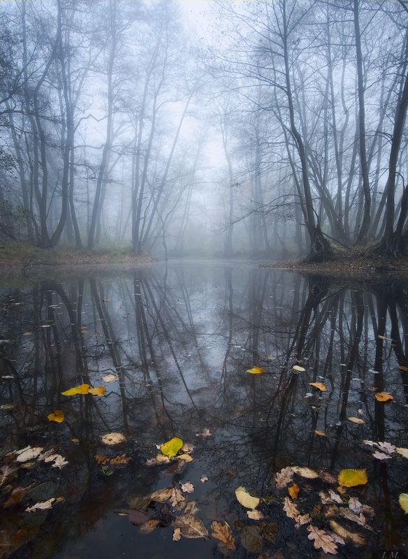 autumn, fog, forest, lake, Landscape, leaves, reflection, water, лес, листья, озеро, осень, отражение, пейзаж, туман, Осенний пейзаж, mist, landscapes, foggy, Melancholy Autumn melancholy ..photo preview
