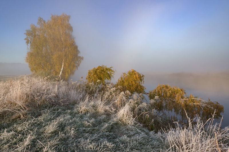 утро, осень, туман, иней, свислочь Серебряная осеньphoto preview