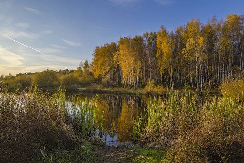 Золотая осень в Архангельском