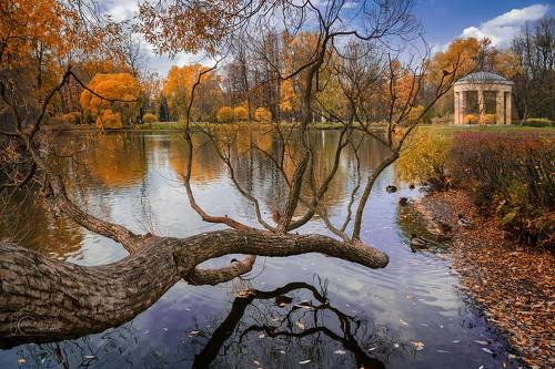 Осень в парке Екатерингоф