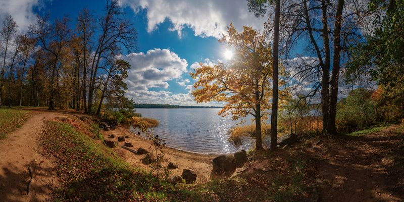 панорама,озеро,берег,ленобласть озеро Орлинскоеphoto preview