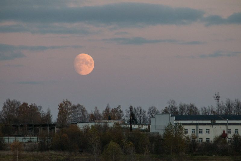 Лунный  вечерphoto preview