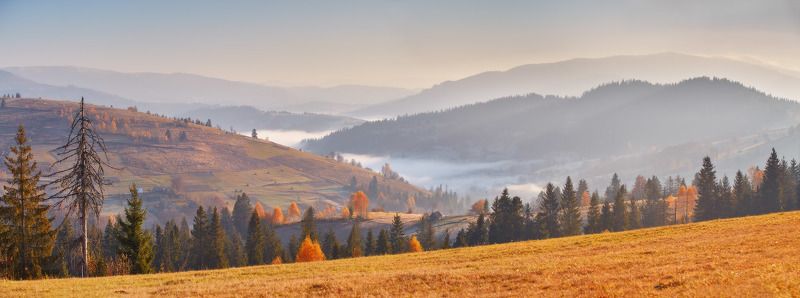 горы, карпаты, ноябрь, осень, рассвет, туман, украина, утро Карпаты. Солнечная Осеньphoto preview